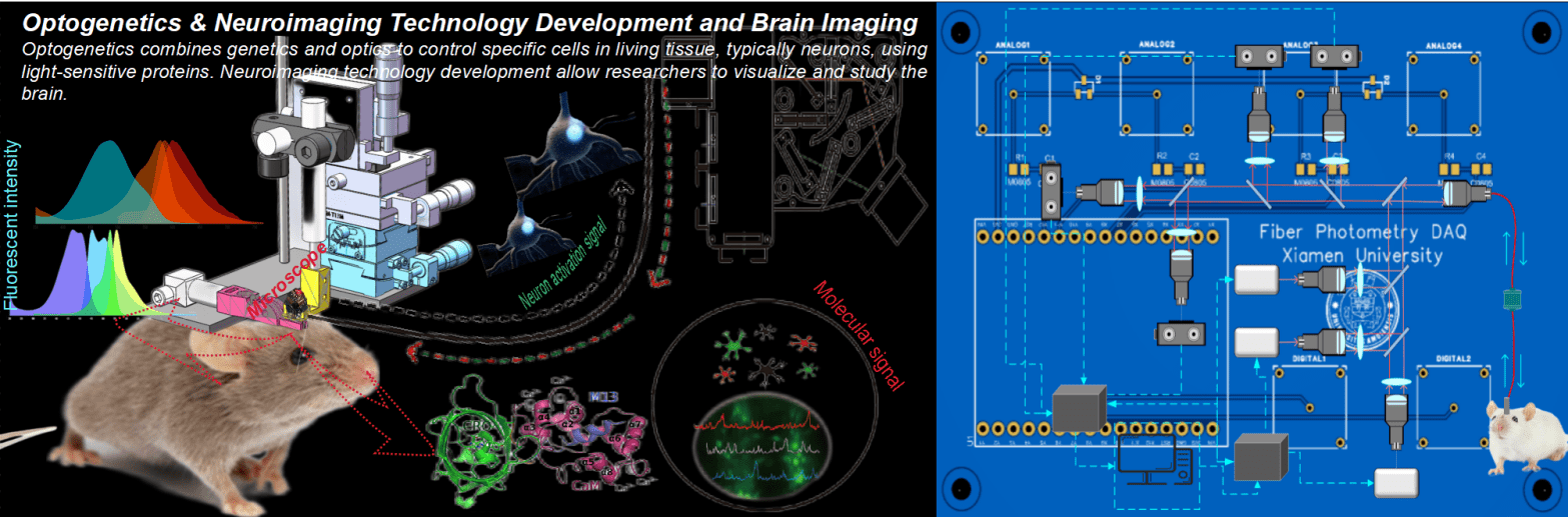 The Zhao Lab